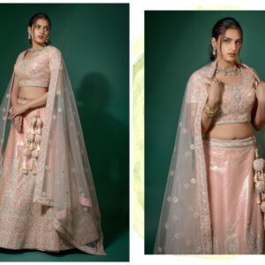 Bridal Chaniya Choli